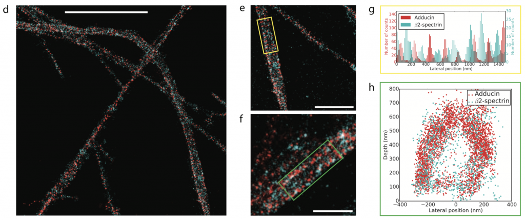 Cabriel_Preprint