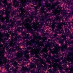 Large-scale view of an hippocampal neuronal culture
