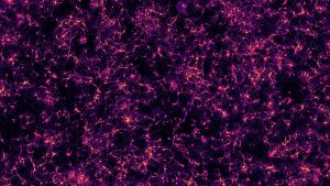 Large-scale view of an hippocampal neuronal culture