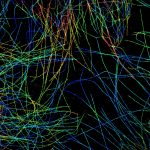 3D-STORM image of microtubules in COS cells