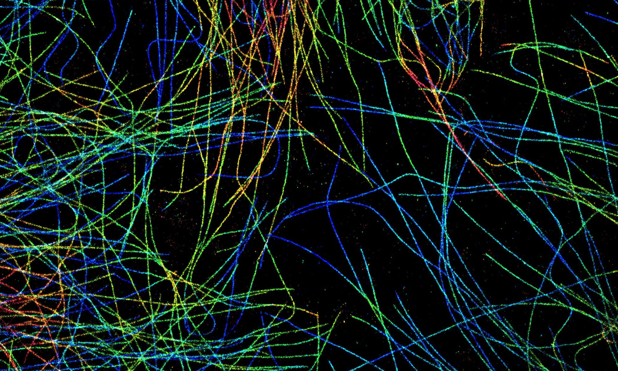 3D-STORM image of microtubules in COS cells 3D-STORM image of microtubules in COS cells