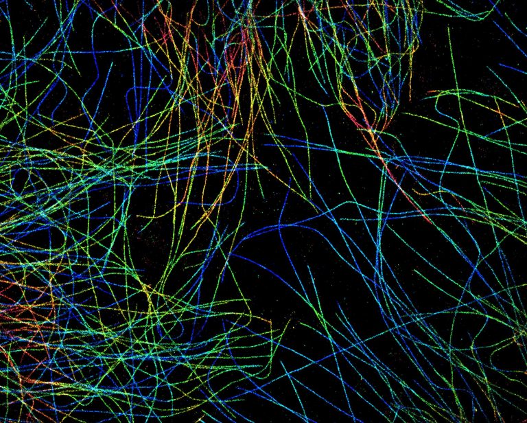 3D-STORM image of microtubules in COS cells 3D-STORM image of microtubules in COS cells