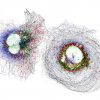 COS cells labeled for clathrin (blue), mitochondria (ref), intermediate filaments (green) and microtubules (grey) COS cells labeled for clathrin (blue), mitochondria (ref), intermediate filaments (green) and microtubules (grey)