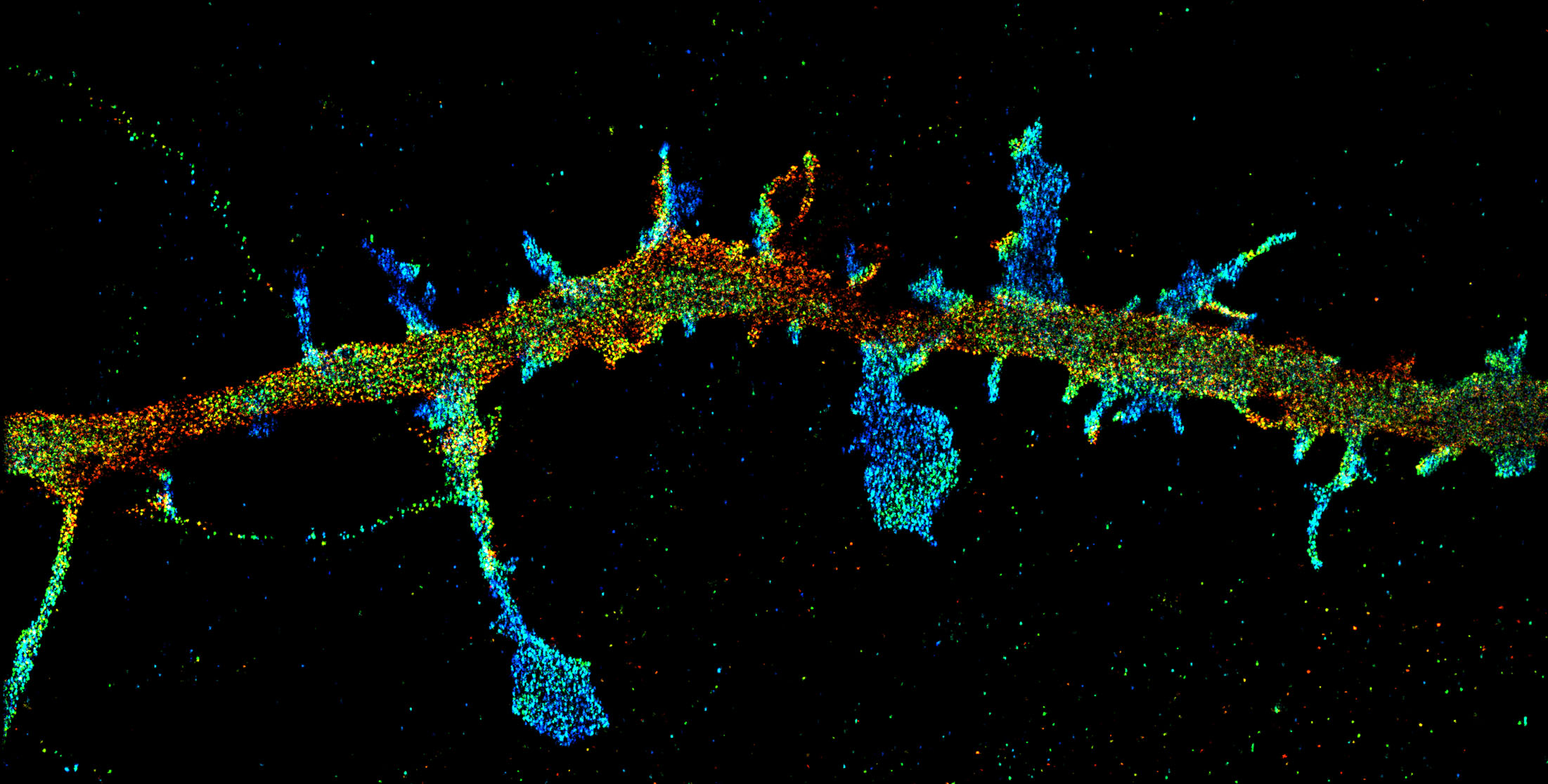 3D-STORM image of a dendrite labeled with a cytosolic protein (depth color-code)