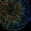 3D-STORM image of a cytoplast labeled for microtubules (depth color-code)