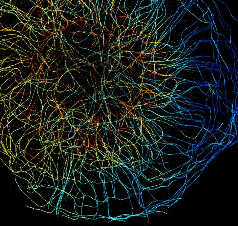 3D-STORM image of a cytoplast labeled for microtubules (depth color-code)
