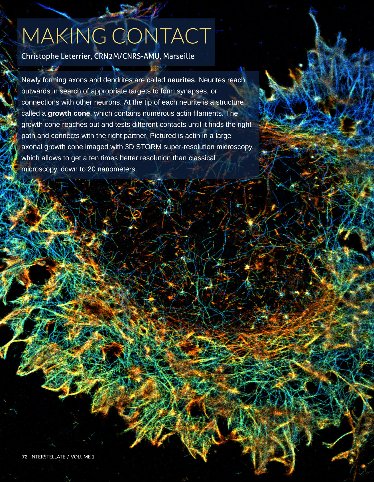 3D-STORM image of an axonal growth cone labeled for actin (depth color-code), as published in Interstellate issue 1