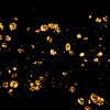 STORM image of a glia labeled for clathrin