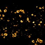 STORM image of a glia labeled for clathrin