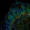 3D-STORM image of a COS cell labeled for microtubules (depth color-code)