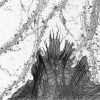Hippocampal neurons and glia labeled for actin and imaged by STORM