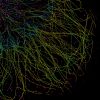 COS cell labeled for microtubules (yellow-cyan) and clathrin (red-blue), imaged by 3D DNA-PAINT and color-coded for depth