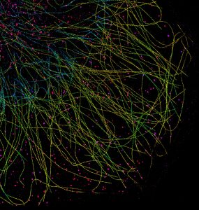 COS cell labeled for microtubules (yellow-cyan) and clathrin (red-blue), imaged by 3D DNA-PAINT and color-coded for depth